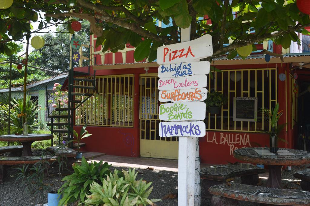 La Ballena Roja Guest House And Cafe Uvita Exterior photo