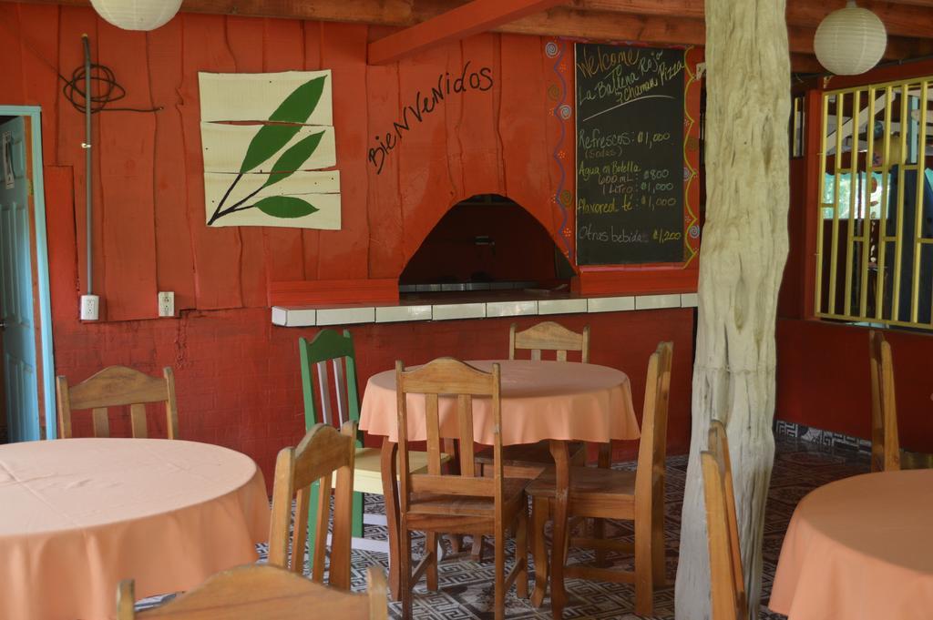 La Ballena Roja Guest House And Cafe Uvita Exterior photo