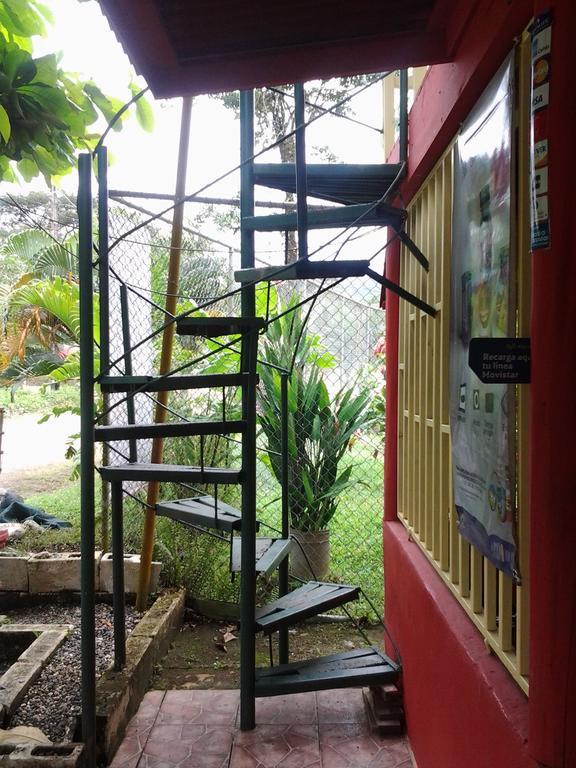 La Ballena Roja Guest House And Cafe Uvita Room photo