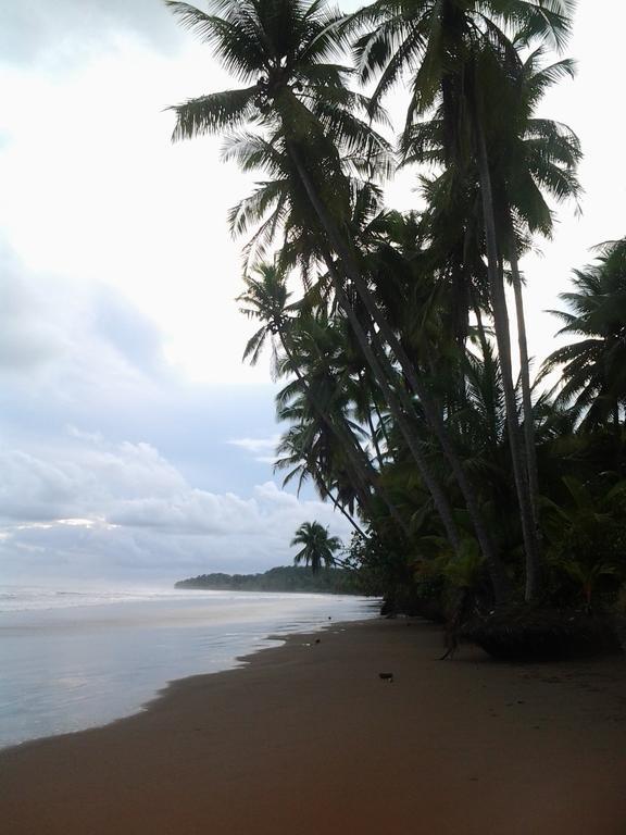 La Ballena Roja Guest House And Cafe Uvita Exterior photo